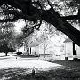 IMG_8934-bw