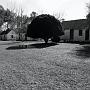 IMG_8935-bw